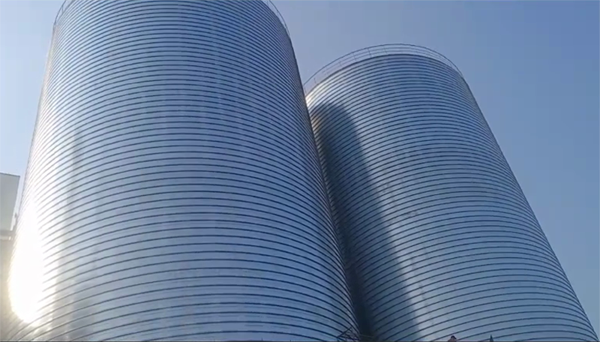 奉新2座混凝土高架卷板仓